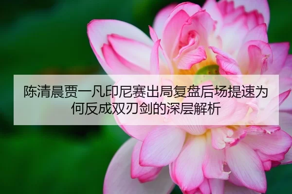 陈清晨贾一凡印尼赛出局复盘后场提速为何反成双刃剑的深层解析