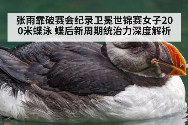 张雨霏破赛会纪录卫冕世锦赛女子200米蝶泳 蝶后新周期统治力深度解析